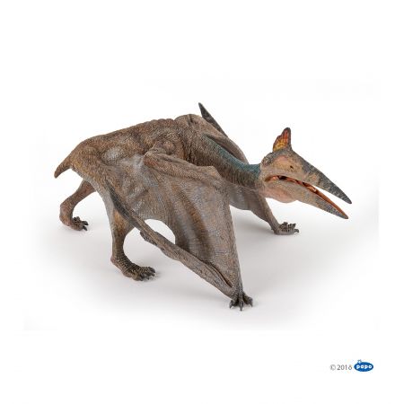 Quetzalcoaltus Quetzalcoaltus