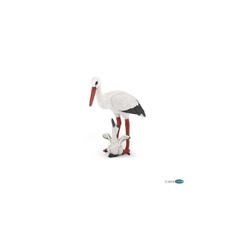 Storch Mit Storchjunges