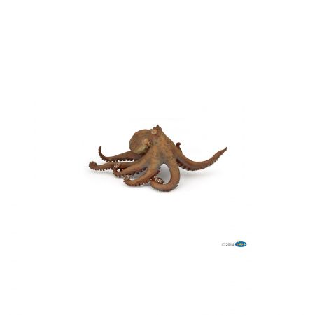 Krake
