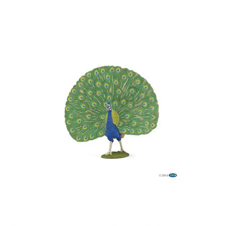 Pfau