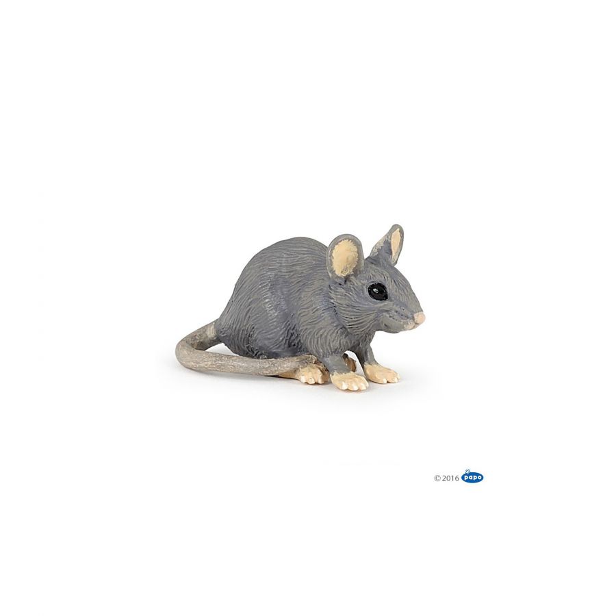 Hausmaus