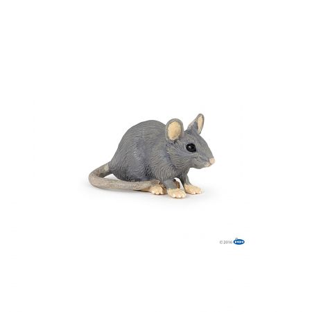 Hausmaus