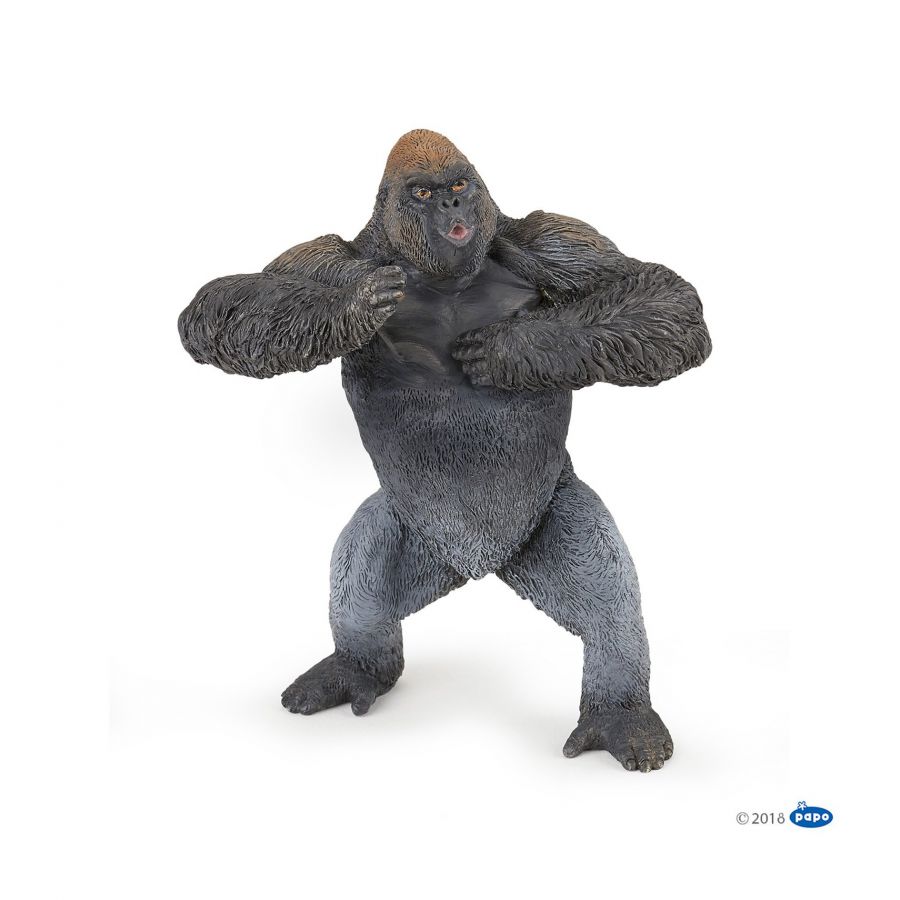 Berggorilla Berggorilla