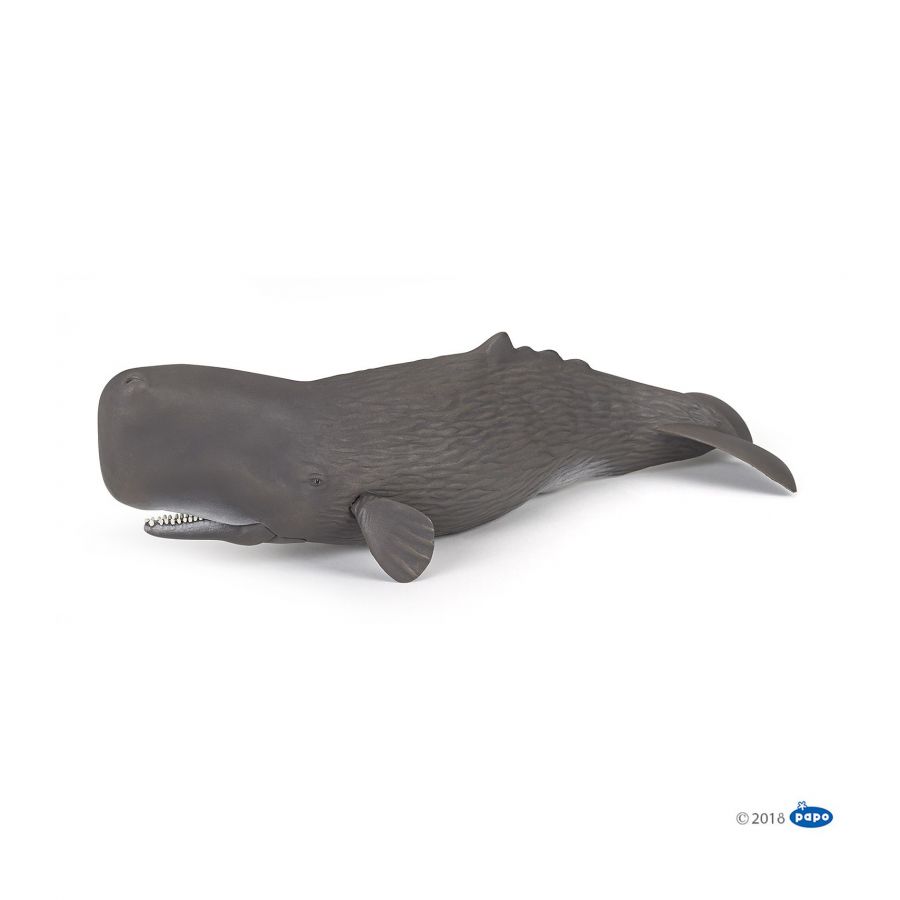 Ein realistisches Spielzeugmodell eines Pottwals liegt seitlich auf weißem Hintergrund.