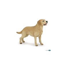 Labrador-Retriever