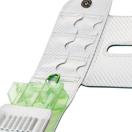 Bull's SECC Dartcase green