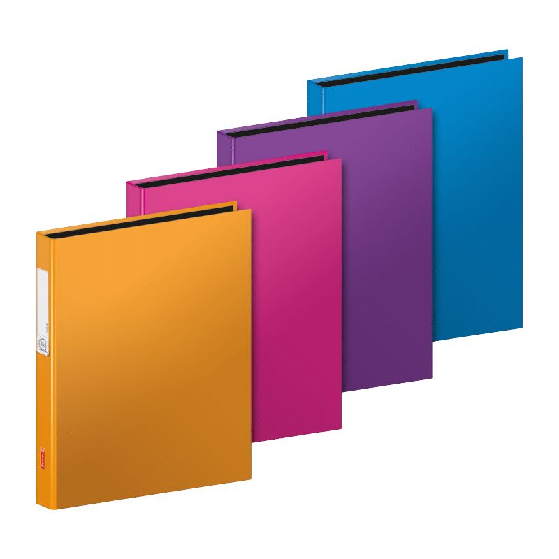 Ringbuch A4 Trend 2 Ringe sortiert Ringbuch A4 Trend 2 Ringe sortiert