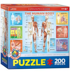 Puzzle The Human Body