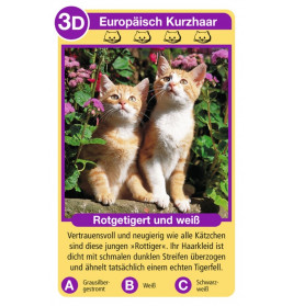 Ravensburger 204212  Quartett Katzen