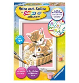 Ravensburger 296866 Malen nach Zahlen: Katzenbabys