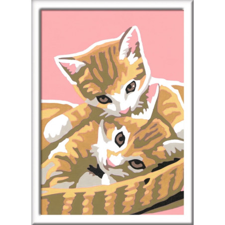 Ravensburger 296866 Malen nach Zahlen: Katzenbabys Ravensburger 296866 Malen nach Zahlen: Katzenbabys