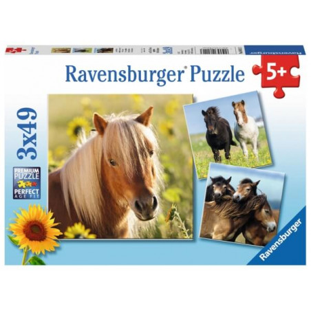 Ravensburger 080113 Kinderpuzzle Liebe Pferde 3 x 49 Teile