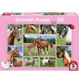 Rosafarbene Schmidt-Puzzlebox mit 150 Teilen, zeigt Pferde und Ponys auf einer grünen Wiese.