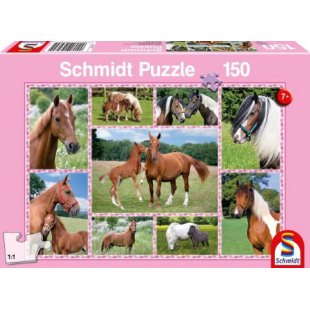 Rosafarbene Schmidt-Puzzlebox mit 150 Teilen, zeigt Pferde und Ponys auf einer grünen Wiese.