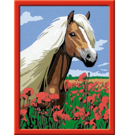 Ravensburger 286522 Malen nach Zahlen: Haflinger