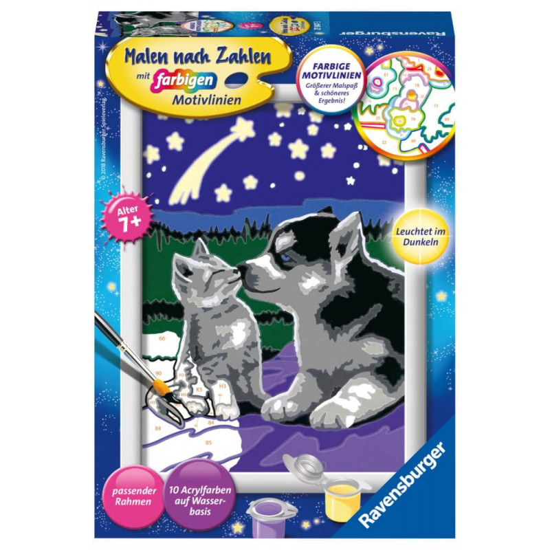 Ravensburger 278473 Malen nach Zahlen: Hund und Katze