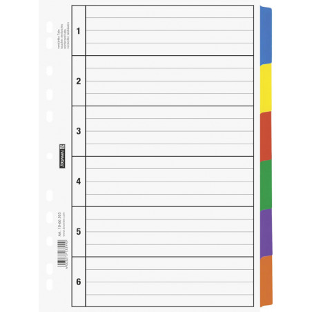 Ringbuchregister A4 6teilig Karton