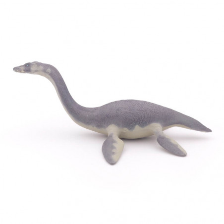 Plesiosaurier