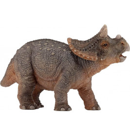 Baby Triceratops