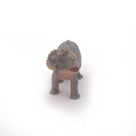 Baby Triceratops