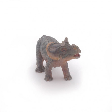 Baby Triceratops