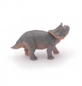 Baby Triceratops