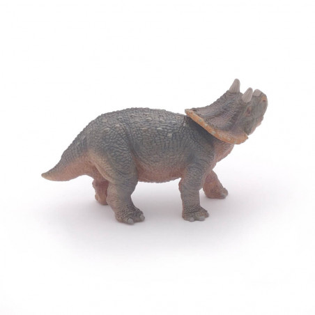 Baby Triceratops