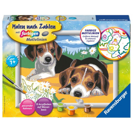Ravensburger 283293 Malen nach Zahlen: Jack Russel Welpen