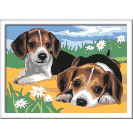 Ravensburger 283293 Malen nach Zahlen: Jack Russel Welpen