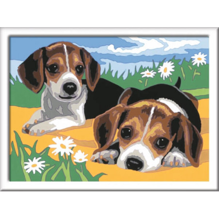 Ravensburger 283293 Malen nach Zahlen: Jack Russel Welpen