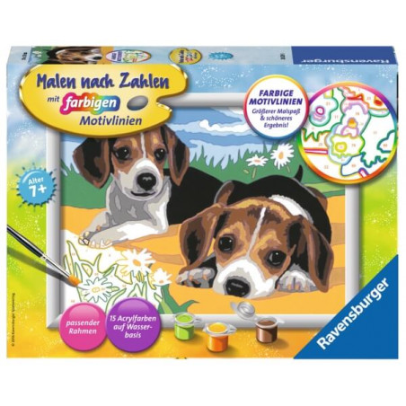 Ravensburger 283293 Malen nach Zahlen: Jack Russel Welpen