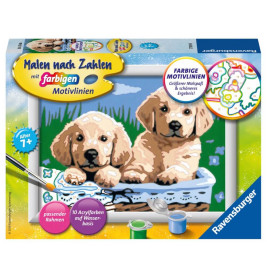 Ravensburger 278398 Malen nach Zahlen: Süße Hundewelpen