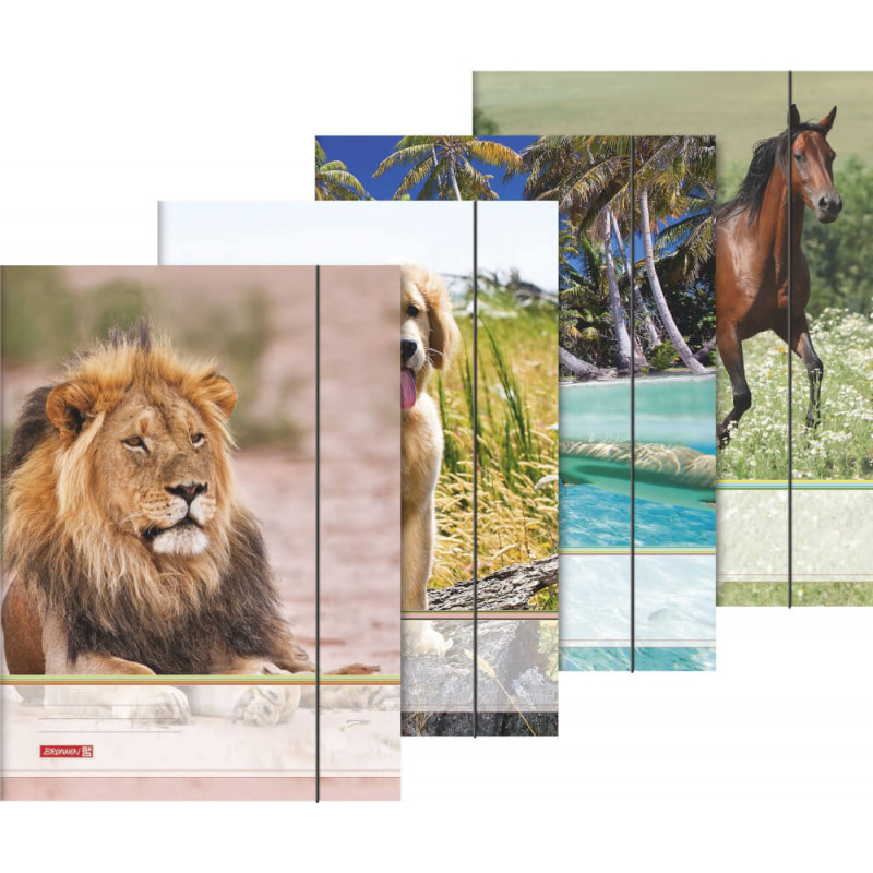 Sammelmappe A3 Tiere Gummizug
