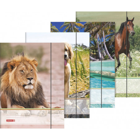 Sammelmappe A3 Tiere Gummizug