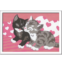 Malen nach Zahlen Kuschelkatzen