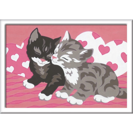 Malen nach Zahlen Kuschelkatzen Malen nach Zahlen Kuschelkatzen