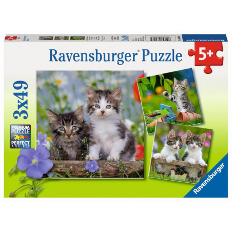 Puzzle Süsse Samtpfötchen 3x49 Teile