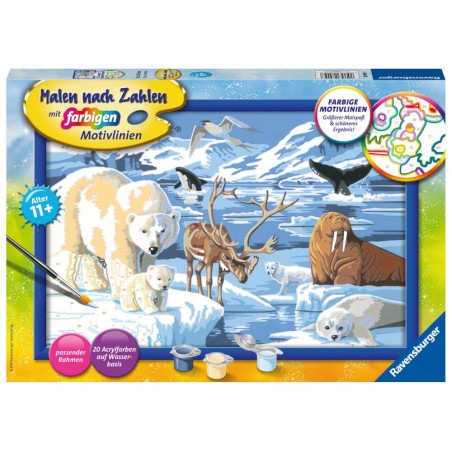 Malen nach Zahlen Tiere der Arktis