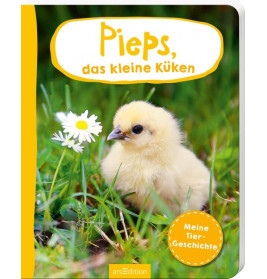 Erste Fotogeschichte, Pieps das kl. Küken