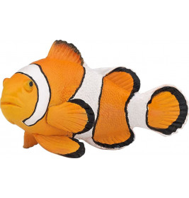 Clownfisch