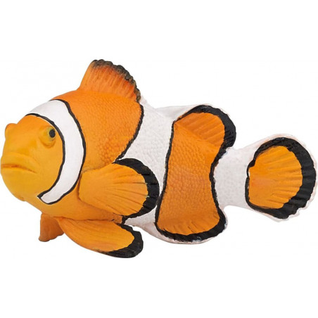 Clownfisch