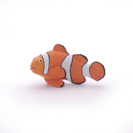 Clownfisch