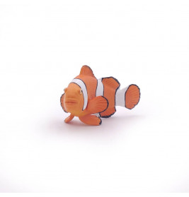 Clownfisch