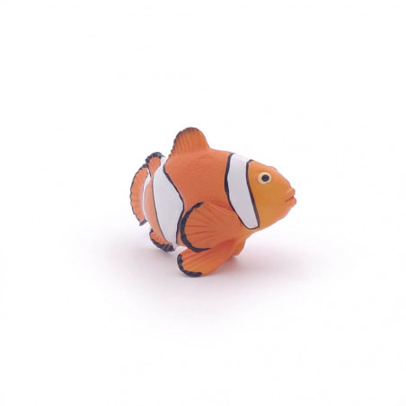 Clownfisch
