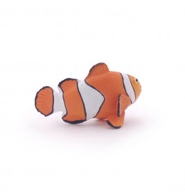 Clownfisch