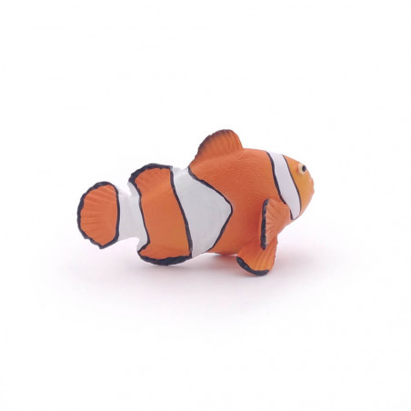 Clownfisch