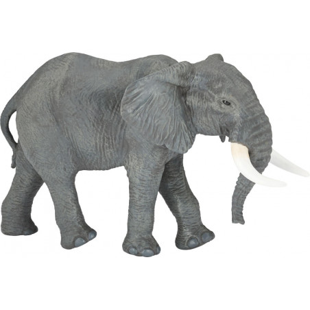 Grosser afrikanischer Elefant