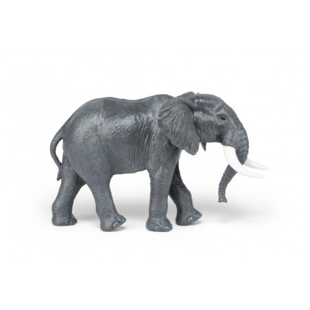 Grosser afrikanischer Elefant