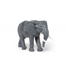 Grosser afrikanischer Elefant