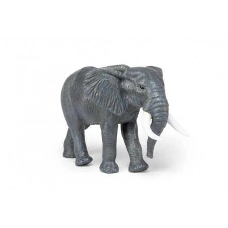 Grosser afrikanischer Elefant